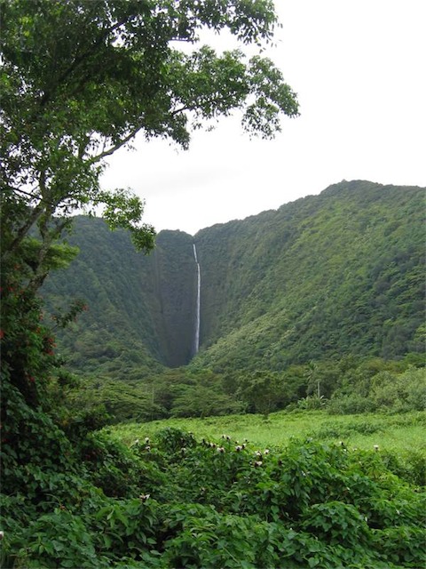 Image-88C0CA1145DB11DA.jpg