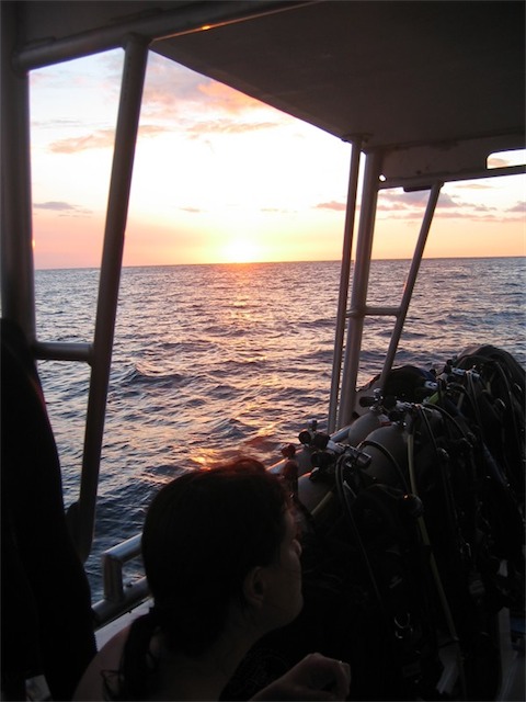 Image-88C56C7D45DB11DA.jpg