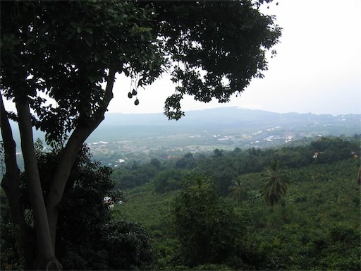 Image-88C729C445DB11DA.jpg