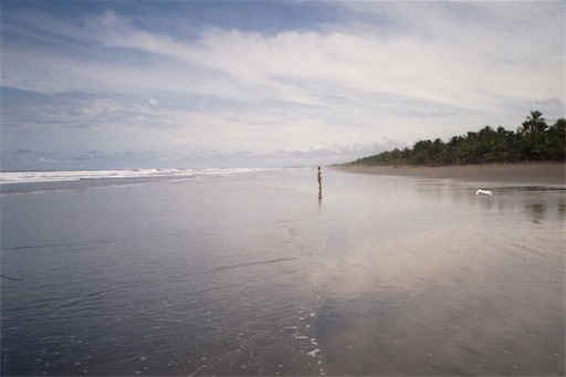 Image-27B6E0AEC18611D8.jpg