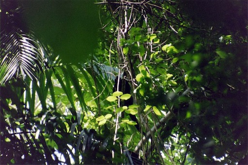 Image-D2AB784EC1B111D8.jpg