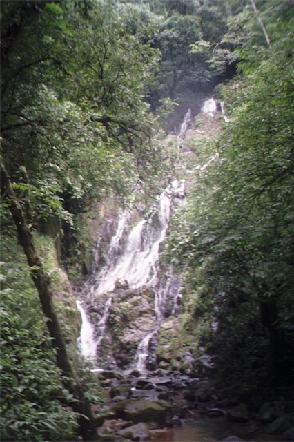 Image-D2D6D52AC1B111D8.jpg