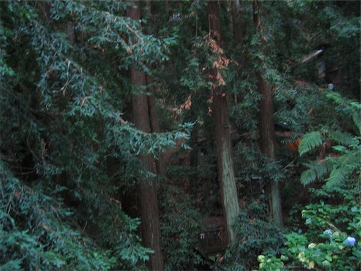 Image-B4A18E7C36B011D9.jpg
