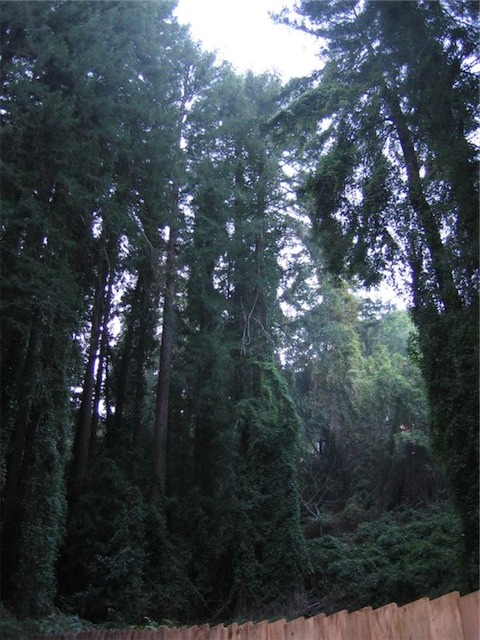 Image-B4A2422036B011D9.jpg
