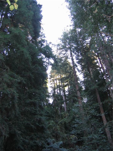 Image-B4A2895136B011D9.jpg